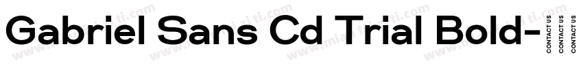 Gabriel Sans Cd Trial Bold字体转换